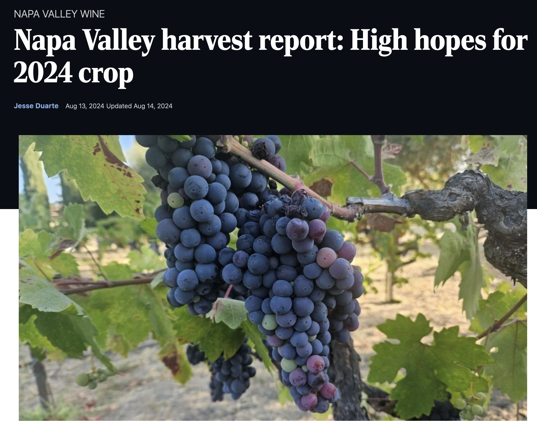 Napa Valley harvest report: High hopes for 2024 crop
